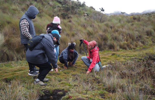 Trekking nel Parque Nacional Cajas - Foto 5