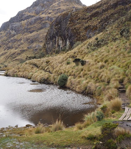 Foto de Senderismo por el Parque Nacional Cajas
