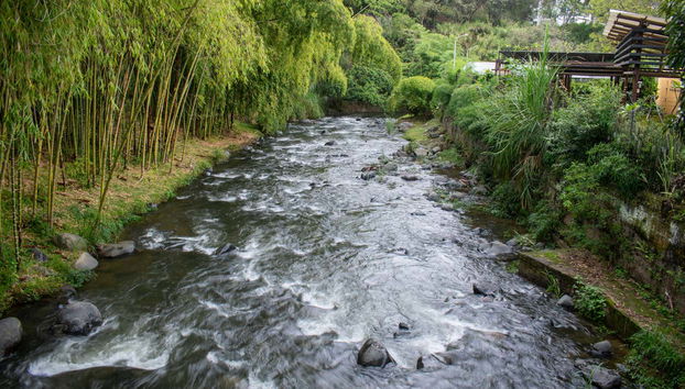 Escursione ai Farallones de Cali e al Topacio - Foto 2