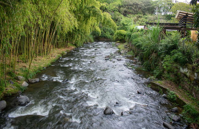 Escursione ai Farallones de Cali e al Topacio - Foto 2