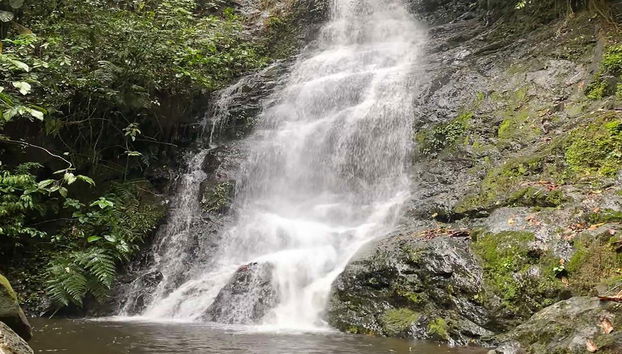 Excursão aos Farallones de Cali e El Topacio - Foto 4