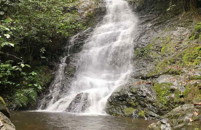Excursión a los Farallones de Cali y El Topacio - Photo 3