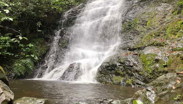 Escursione ai Farallones de Cali e al Topacio - Foto 5