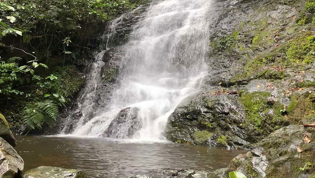 Farallones de Cali & El Topacio Day Trip - Photo 1