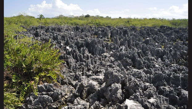 West Bay Trip - Foto 2