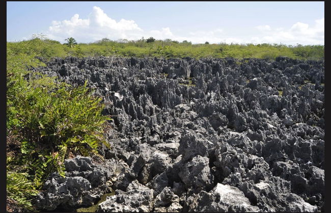 West Bay Trip - Foto 2