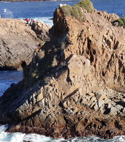 Bild - La Bufadora Day Trip
