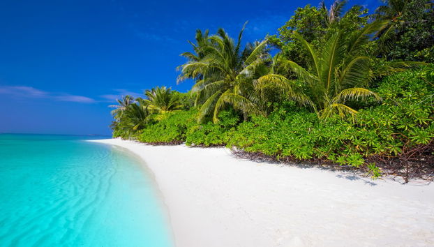 Croisière à Bora Bora en pirogue polynésienne - Photo 4