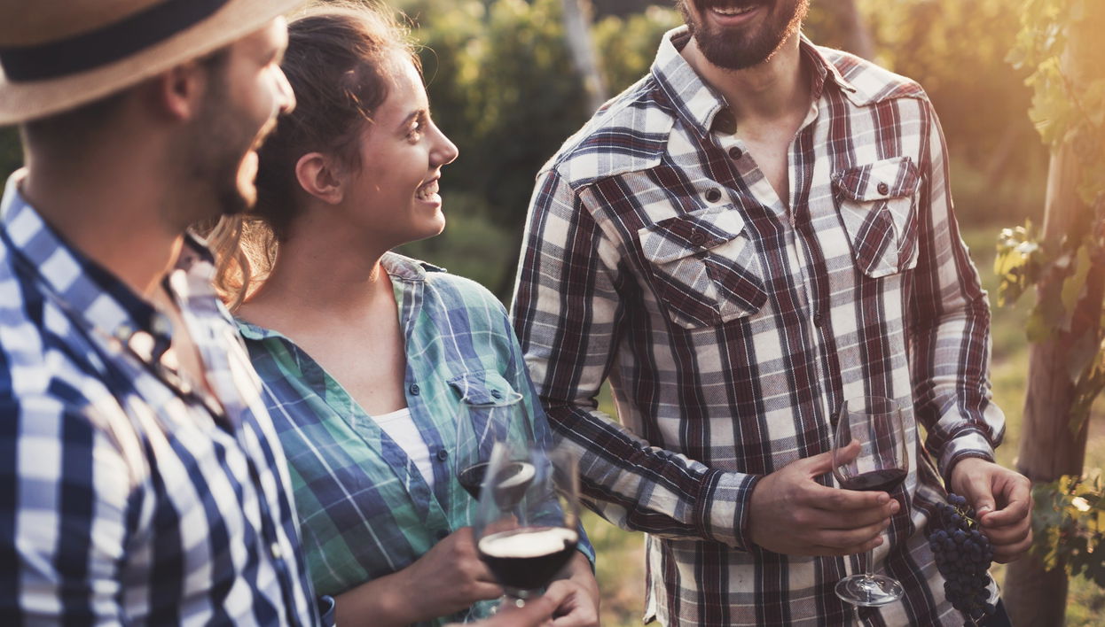 Mt Tamborine Wine Tour - Foto 1