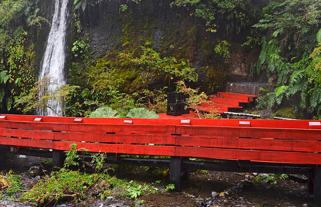 Escursione alle Termas Geométricas - Foto 6