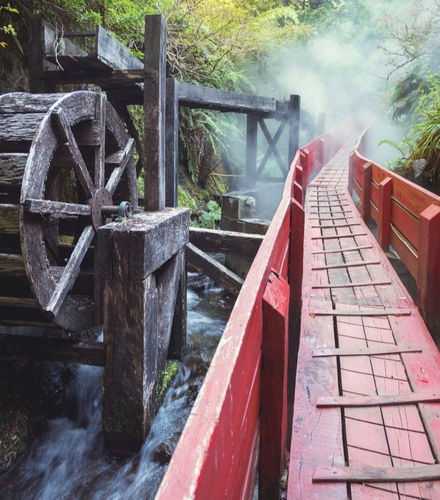 Foto de Excursión a las Termas Geométricas