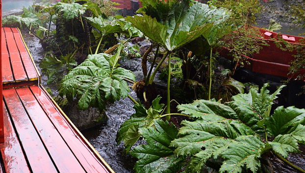 Escursione alle Termas Geométricas - Foto 5