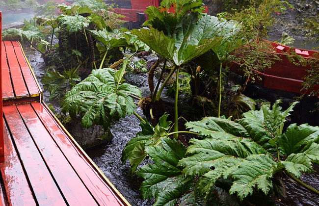 Escursione alle Termas Geométricas - Foto 5