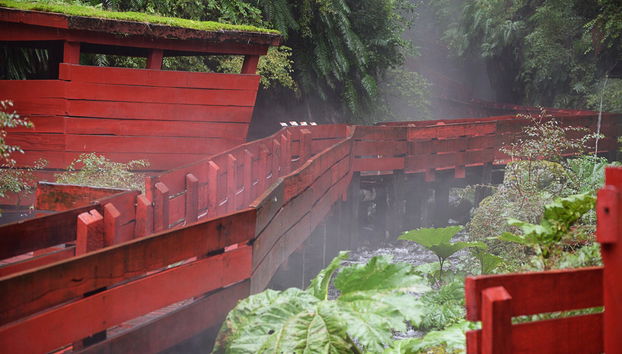 Escursione alle Termas Geométricas - Foto 4