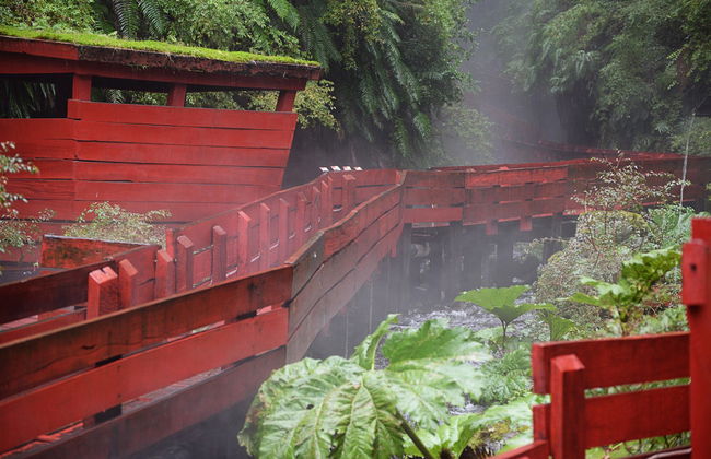 Escursione alle Termas Geométricas - Foto 4
