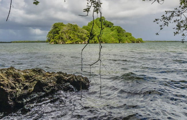 Excursion au Parc National Los Haitises - Photo 4