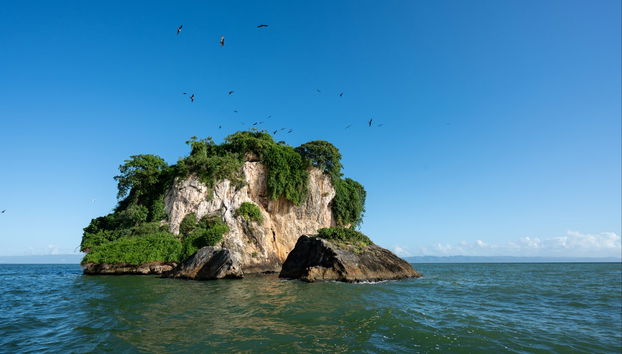 Los Haitises Day Trip - Foto 3