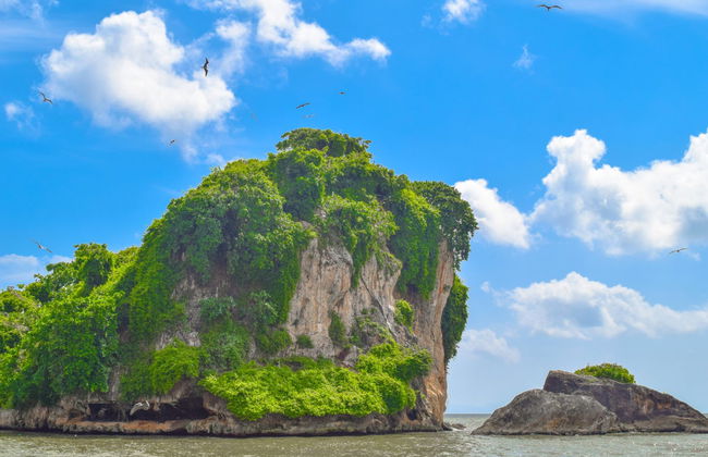 Los Haitises Day Trip - Photo 1