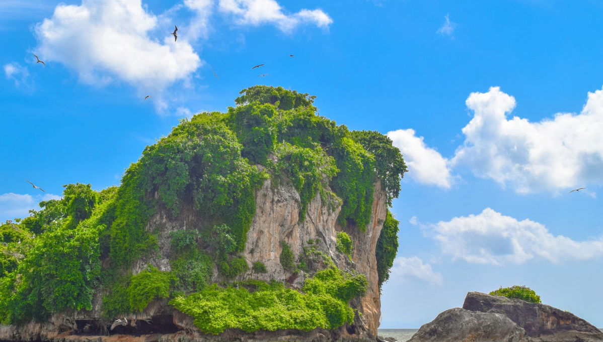 Los Haitises Day Trip - Foto 1