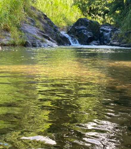 Foto de Excursión a Vermont Nature Trail