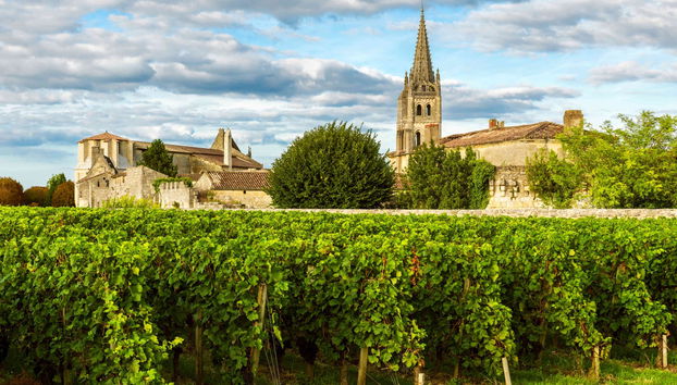 Tour en bicicleta por los viñedos de Saint-Emilion - Foto 2
