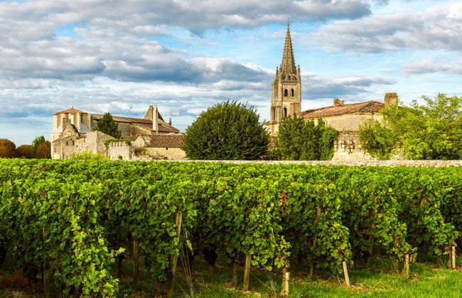 Saint Emilion Vineyards Bike Tour - Foto 2