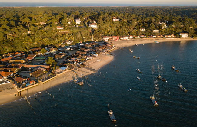 Saint Emilion Vineyards Bike Tour - Foto 3