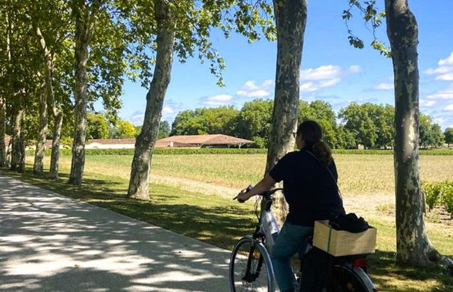 Tour de bicicleta pelos vinhedos de Saint-Émilion - Foto 3