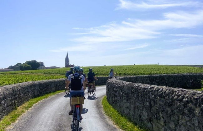 Tour de bicicleta pelos vinhedos de Saint-Émilion - Foto 5