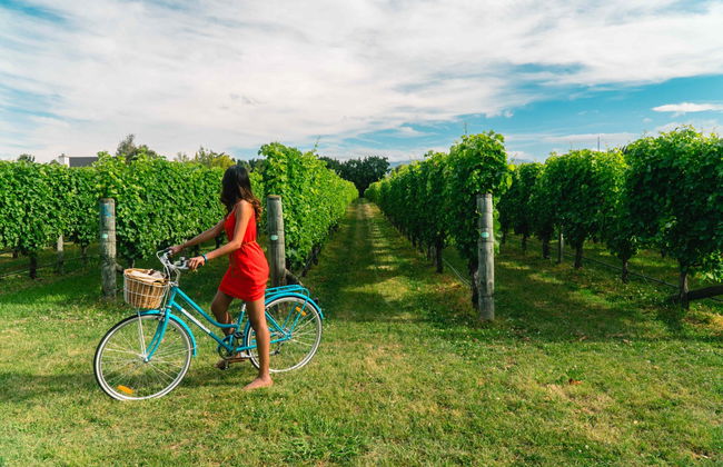 Saint Emilion Vineyards Bike Tour - Foto 6