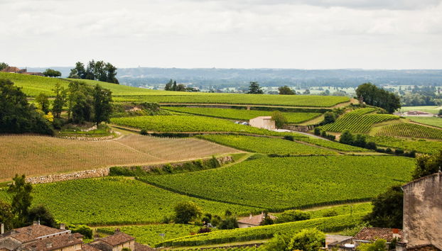 Tour en bicicleta por los viñedos de Saint-Emilion - Foto 5