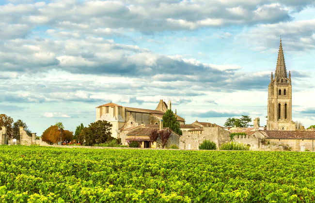 Tour de bicicleta pelos vinhedos de Saint-Émilion - Foto 6