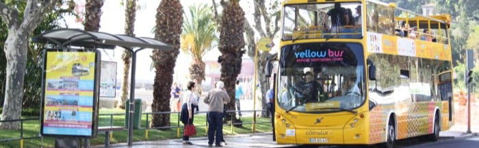 Funchal Hop-On Hop-Off Bus Tour - Photo 1