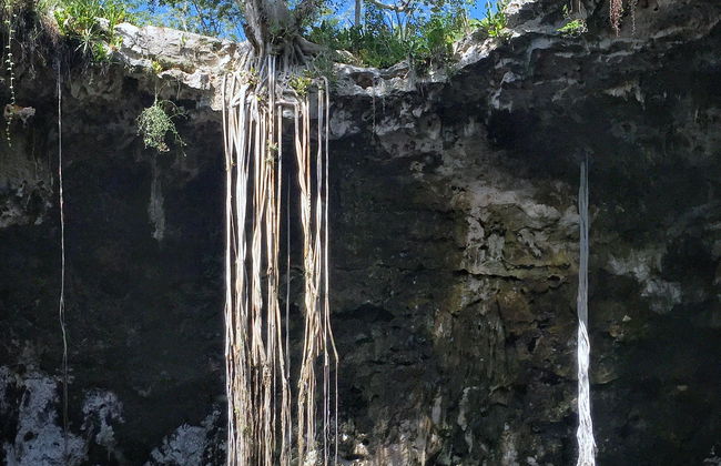 Excursión a los cenotes de Santa Bárbara - Foto 7
