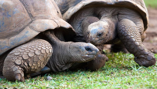Excursión privada a Vallé Advenature Park - Foto 2