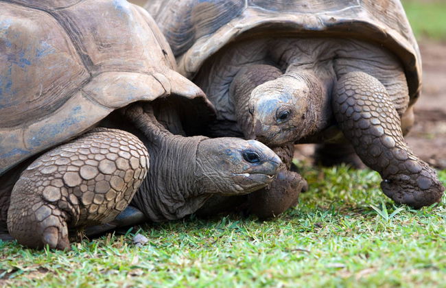 Excursão privada a Vallé Advenature Park - Foto 2