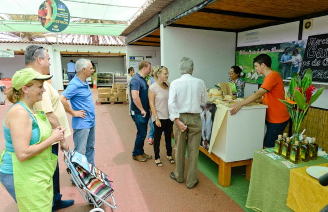 Tour di Maspalomas in bici + Degustazione di tapas - Foto 4