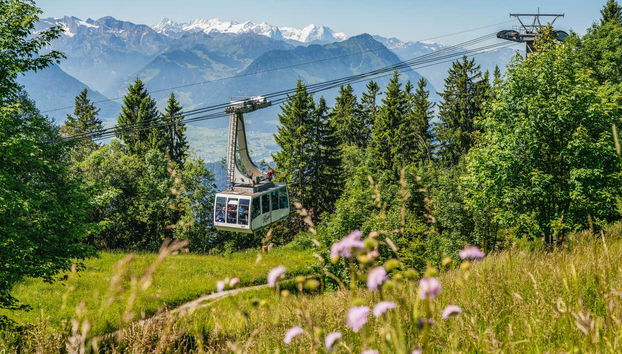Mount Rigi Day Pass - Photo 2