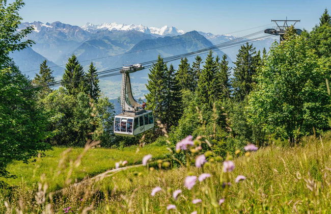 Mount Rigi Day Pass - Photo 2
