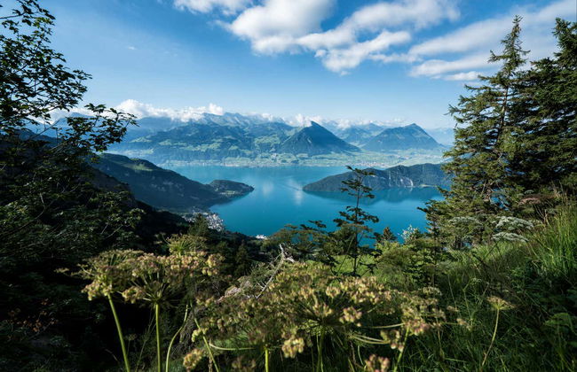 Mount Rigi Day Pass - Photo 6