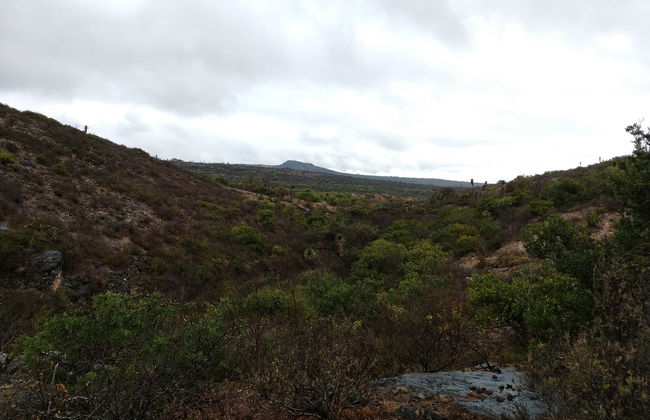 Trekking por el pueblo fantasma de Armadillo - Foto 5