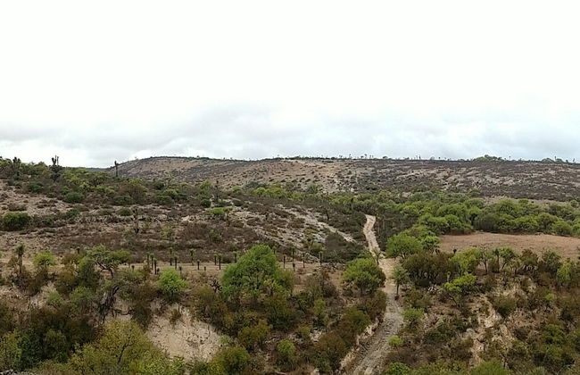 Trekking por el pueblo fantasma de Armadillo - Foto 3