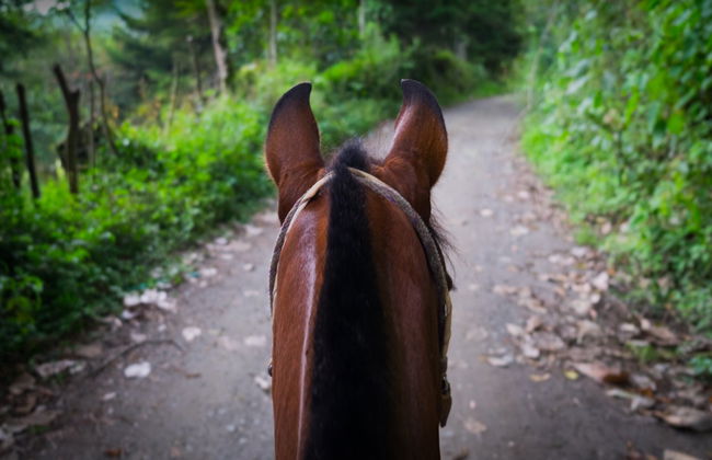 Balade à cheval à Útica - Photo 6