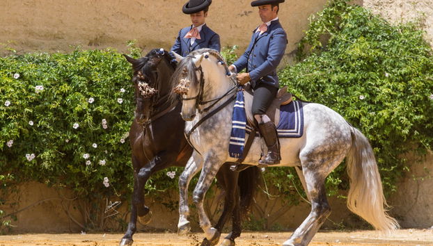Ranch de la Cartuja Hierro del Bocado