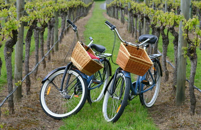 Location de vélos à Maipú - Photo 1