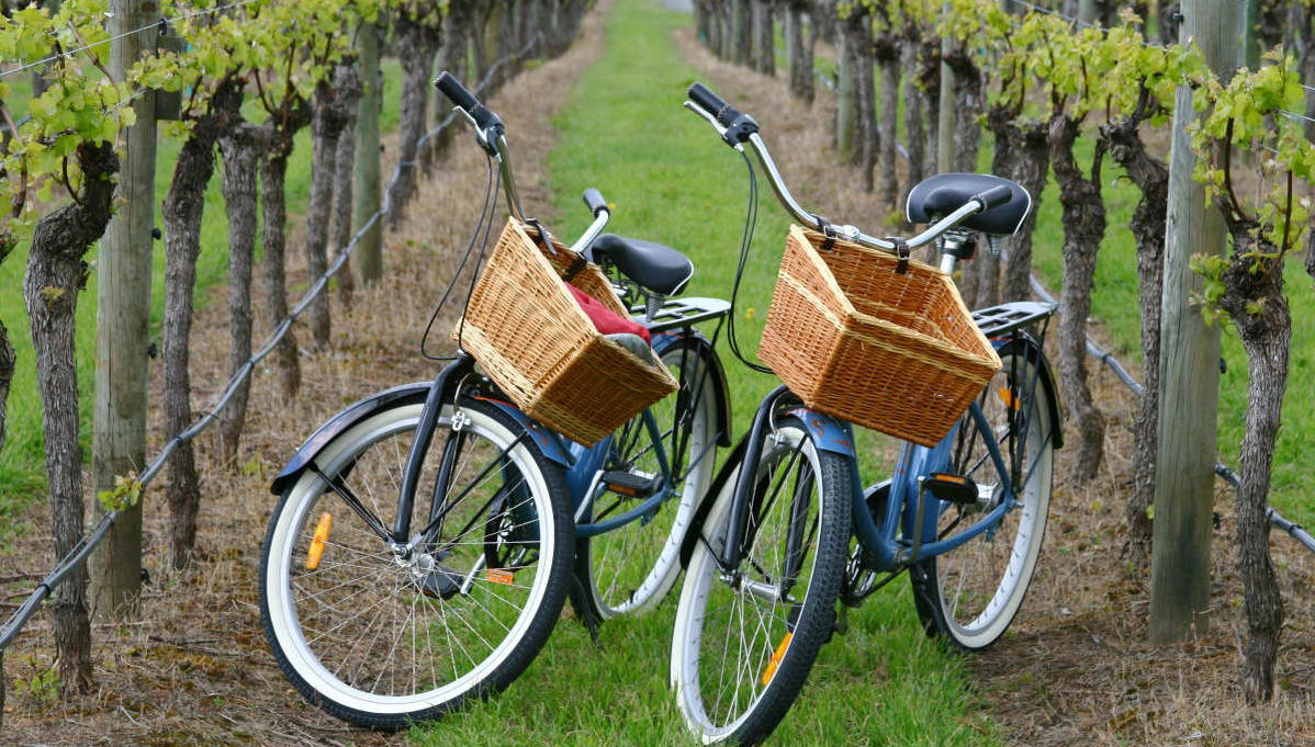 Alquiler de bicicleta en Maipú - Foto 1