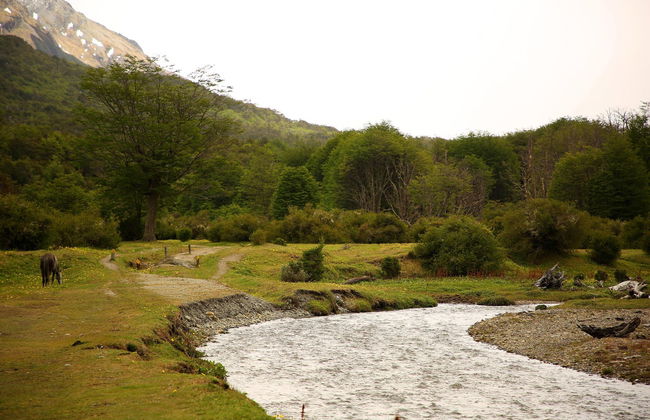 Excursión en 4x4 por Tierra del Fuego - Foto 3
