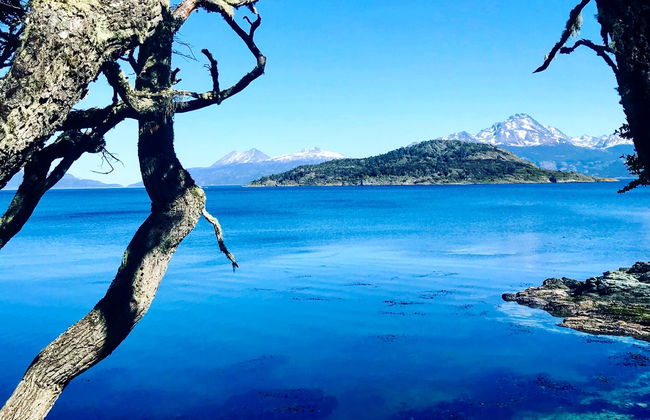 Excursión en 4x4 por Tierra del Fuego - Foto 5