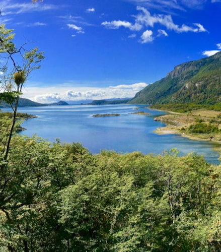 Foto de Excursión a Tierra del Fuego en 4x4