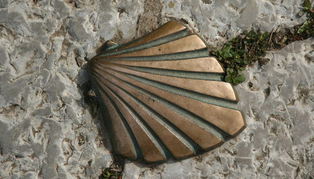 Tour del pellegrino - Foto 5